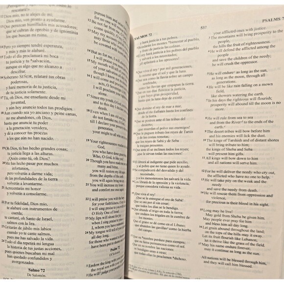 Spanish/English Parallel New Testament Psalms/Proverbs - Paperback - VERY GOOD - Picture 5 of 9